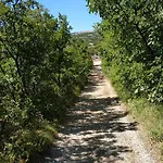 Riva * Klenovica