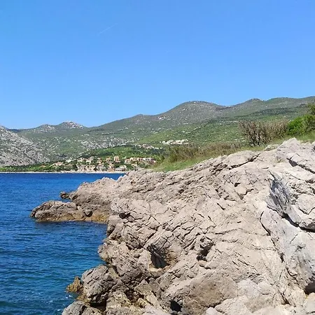 Riva Daire *