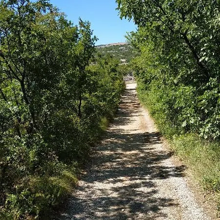Riva * Klenovica
